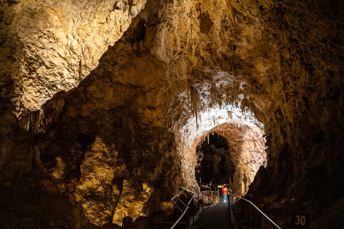Carlsbad Caverns Big Room: Everything You Need to Know