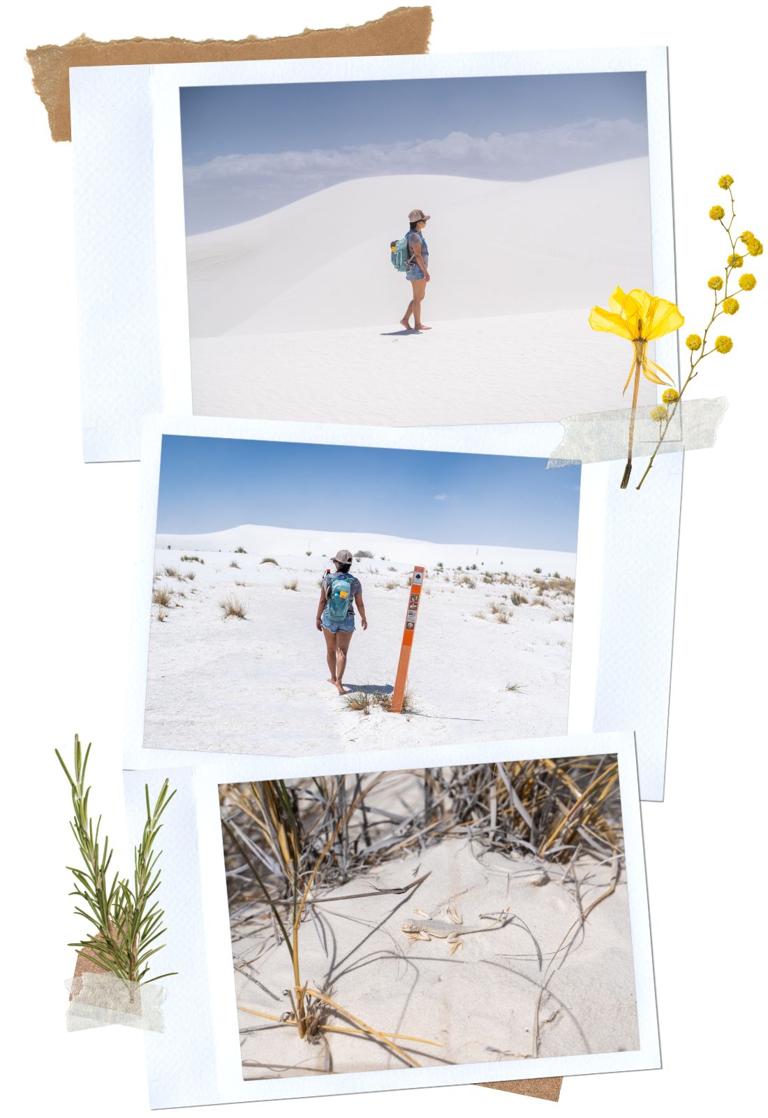 White Sands National Park in New Mexico: Backcountry Camping Trail