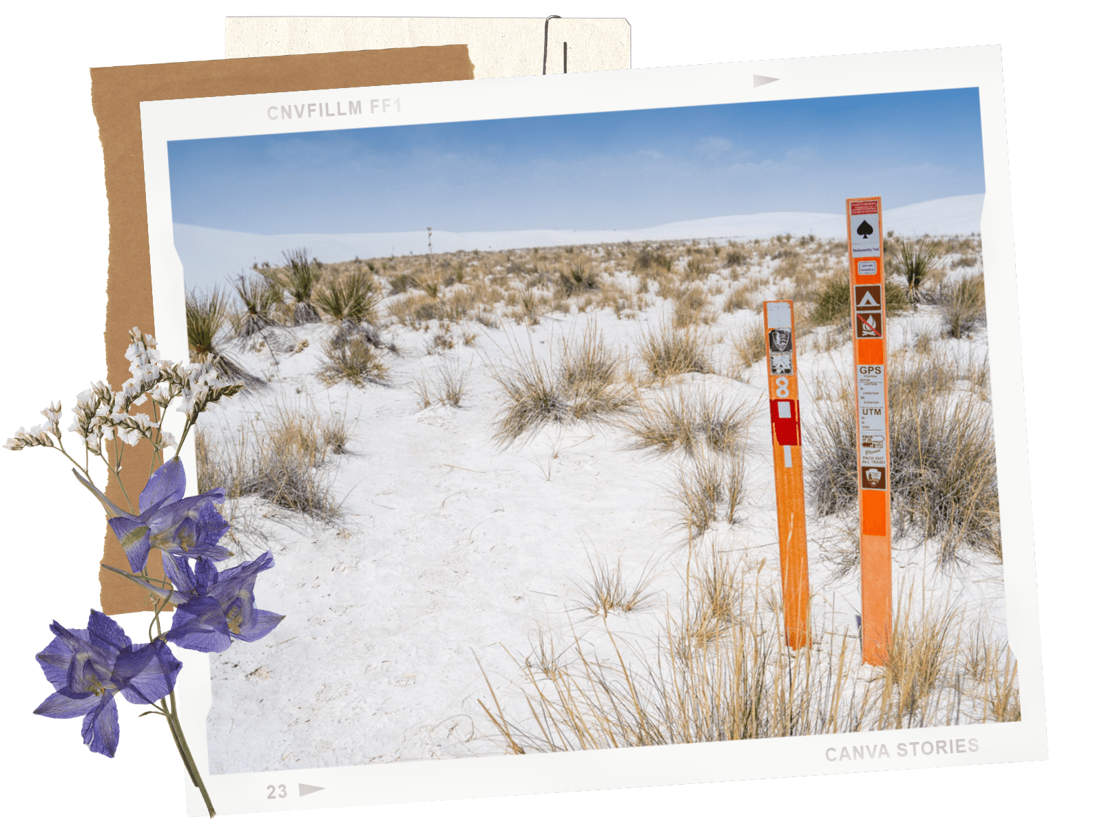 White Sands National Park in New Mexico: Backcountry Camping