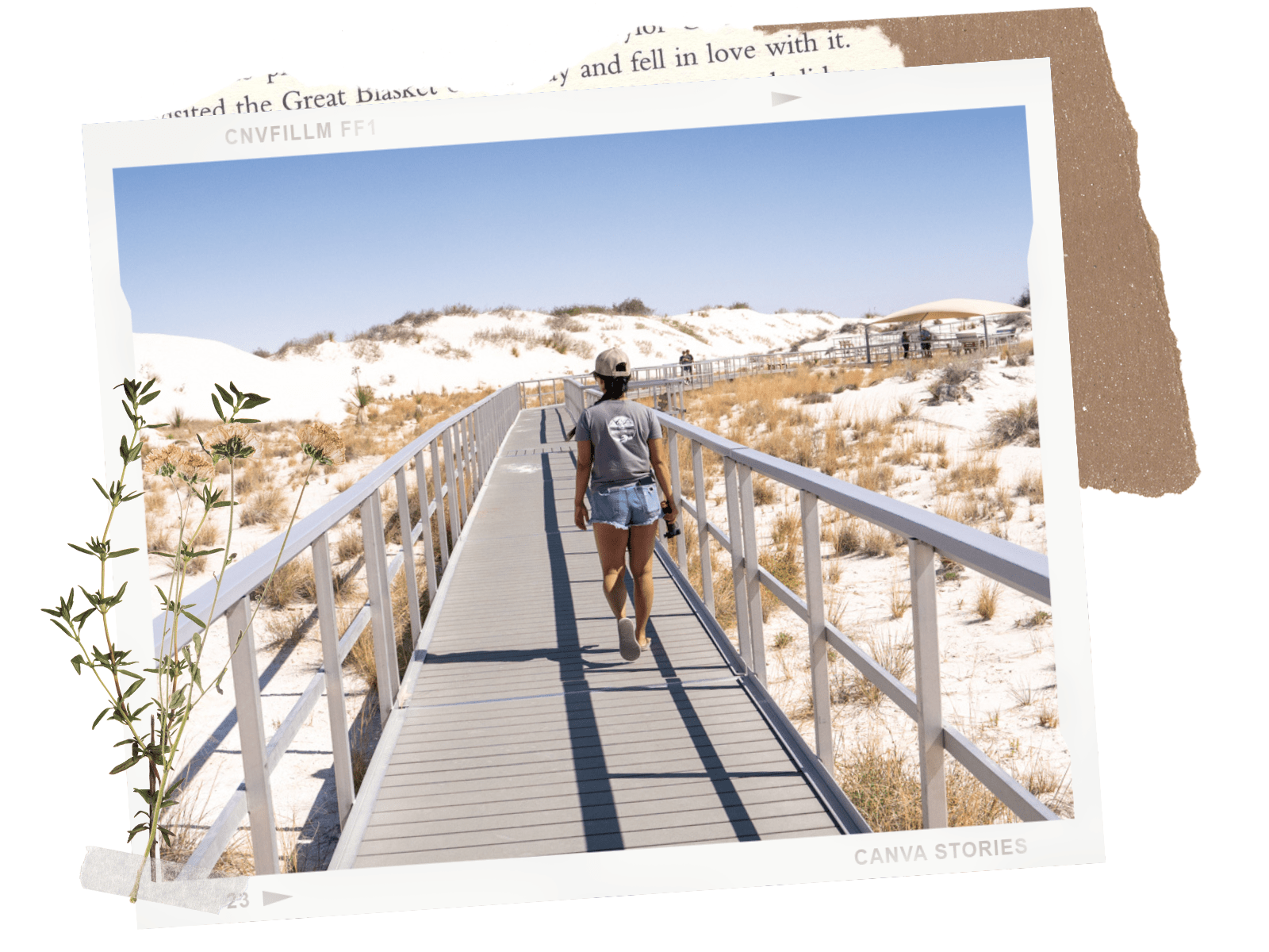 White Sands National Park in New Mexico: Interdune Boardwalk