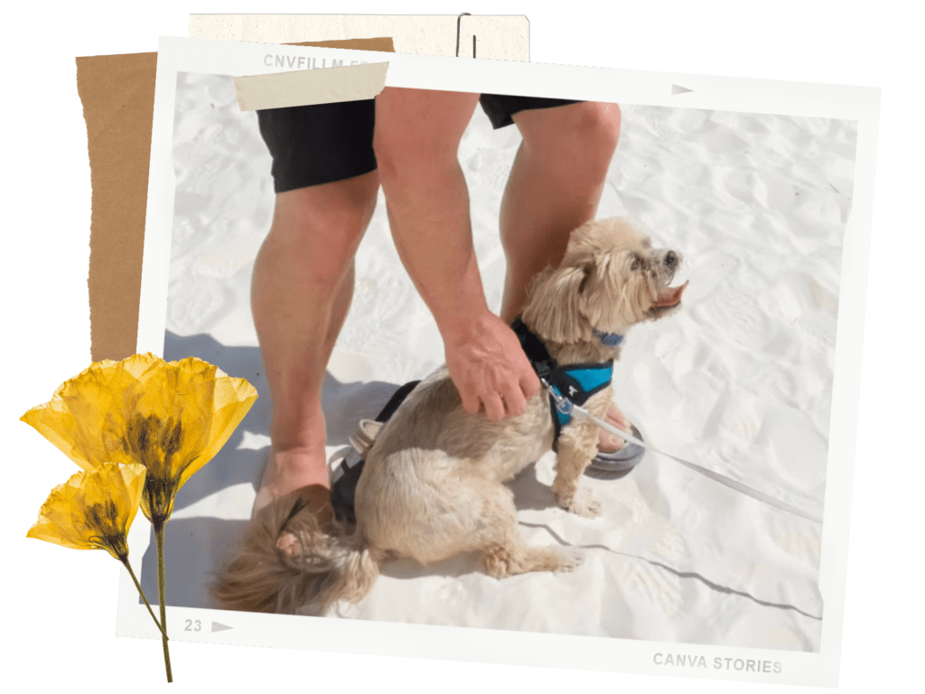 White Sands National Park in New Mexico: Pets