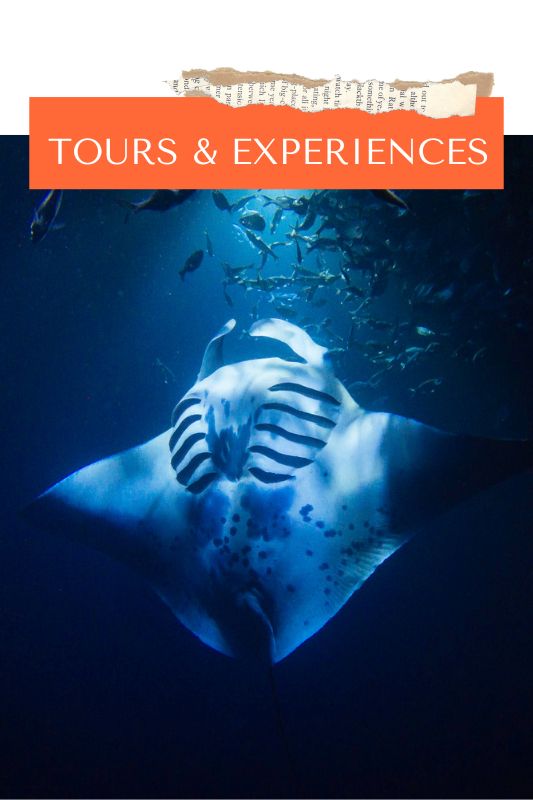 Activities: Tours & Experiences Label