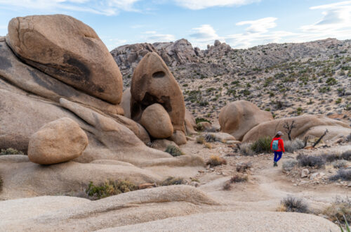 Split Rock Trail, One of the Best Easy Hikes in Joshua Tree National Park
