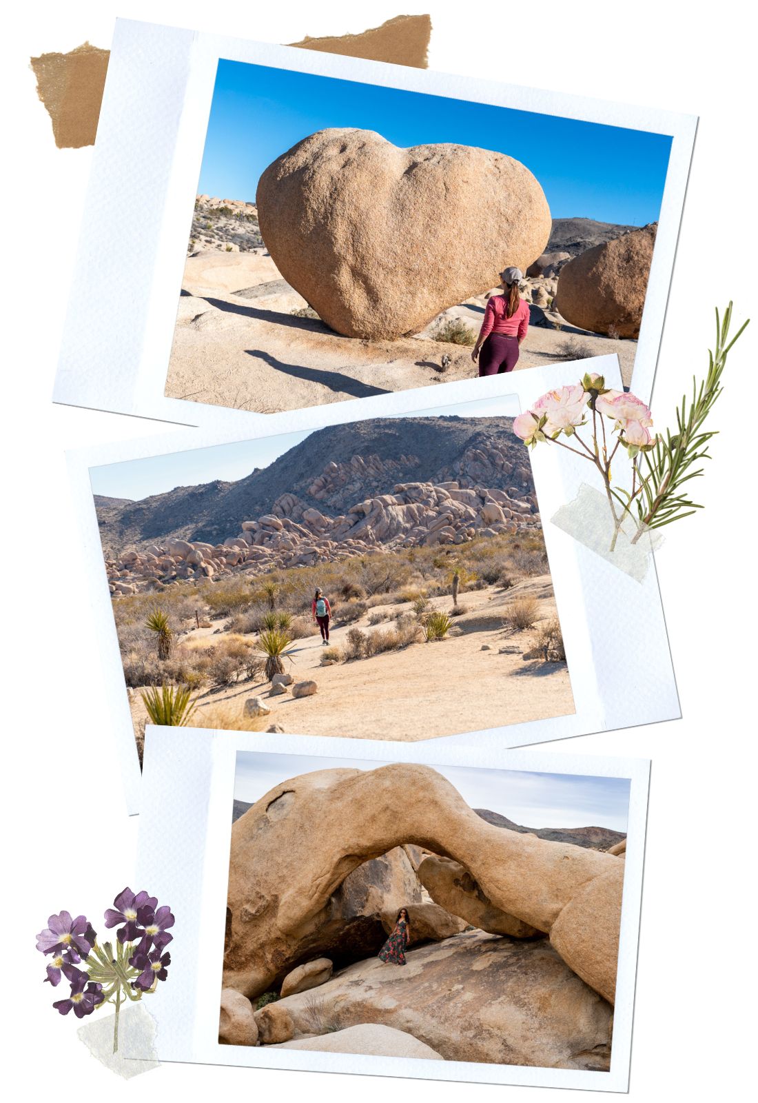Arch & Heart Rocks - 7 Easy, Yet Awesome Trails in Joshua Tree National Park