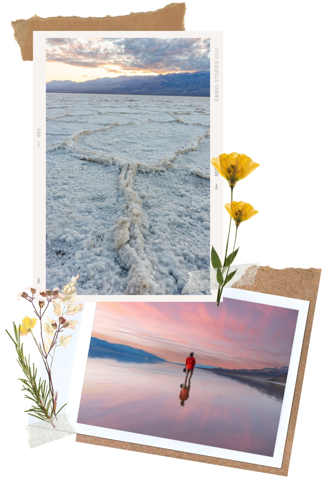 Badwater Salt Flat - 5 Easy Hikes in Death Valley National Park