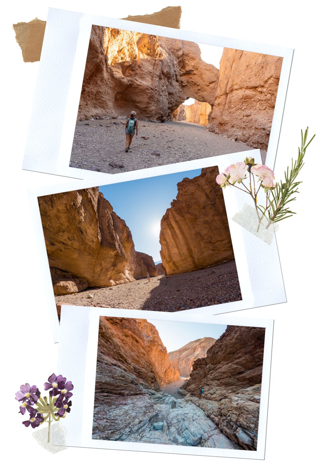 Natural Bridges - 5 Easy Hikes in Death Valley National Park
