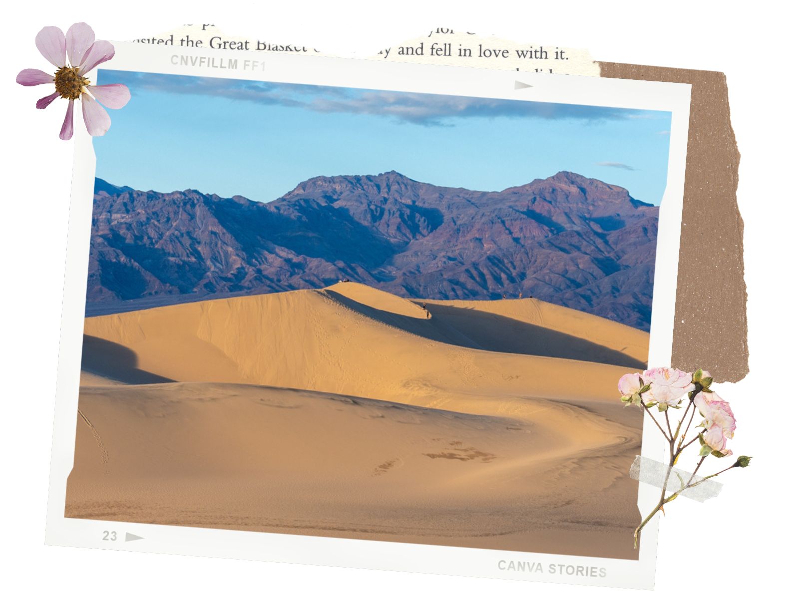 What You Need to Know 1 - Mesquite Flat Sand Dunes in Death Valley National Park