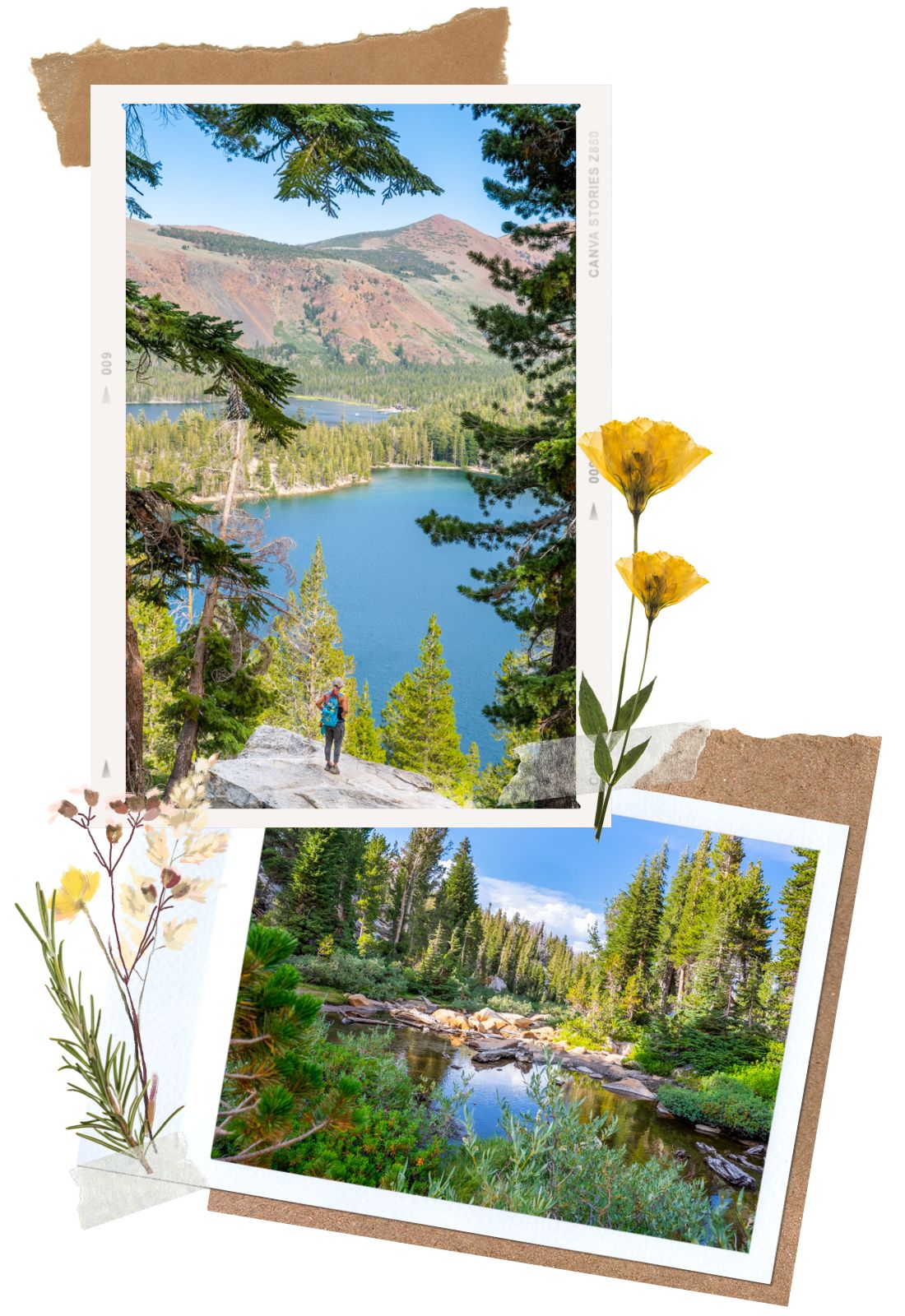 Crystal Lake Trail - 9 Beautiful Beginner Hikes in (and Around) Mammoth Lakes